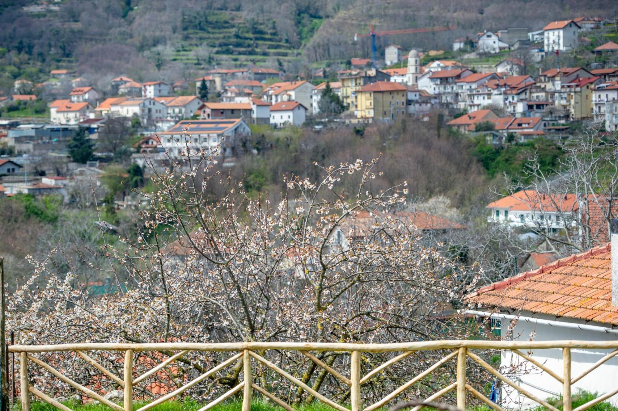 Appartamenti Aria Di Verde Agerola Eksteriør billede