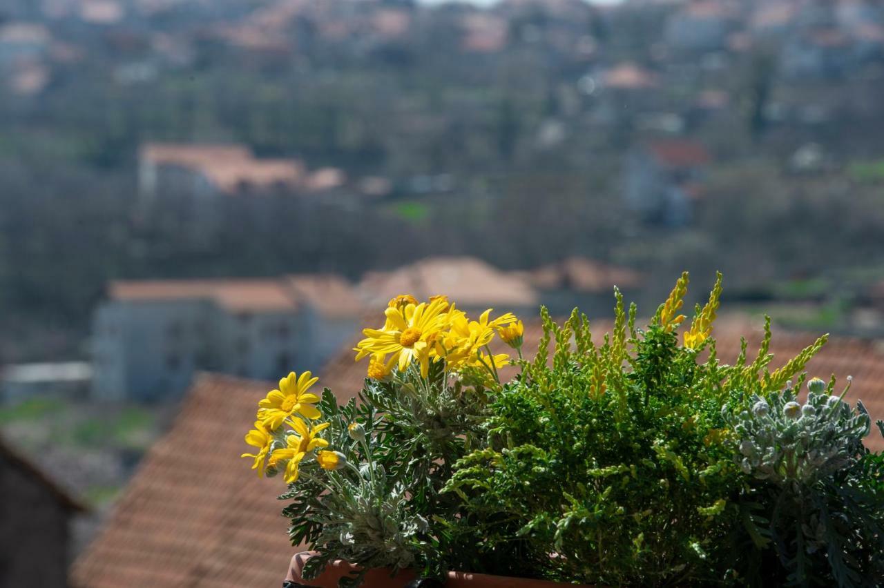 Appartamenti Aria Di Verde Agerola Eksteriør billede